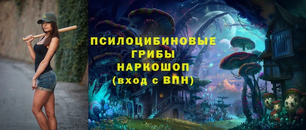 mix Вяземский