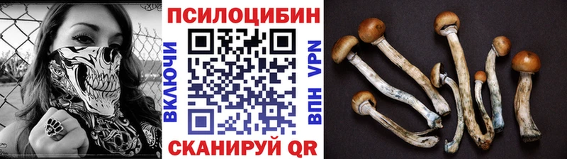Галлюциногенные грибы Cubensis  где можно купить   Завитинск 